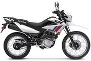 Thumbnail Photo 8: 2025 Honda XR™ 150L