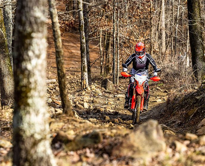 Photo 5: 2025 Honda CRF® 300L