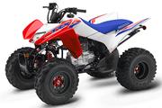Thumbnail Photo 2: 2026 Honda TRX® 250X