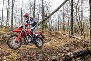 Thumbnail Photo 4: 2025 Honda CRF® 300L