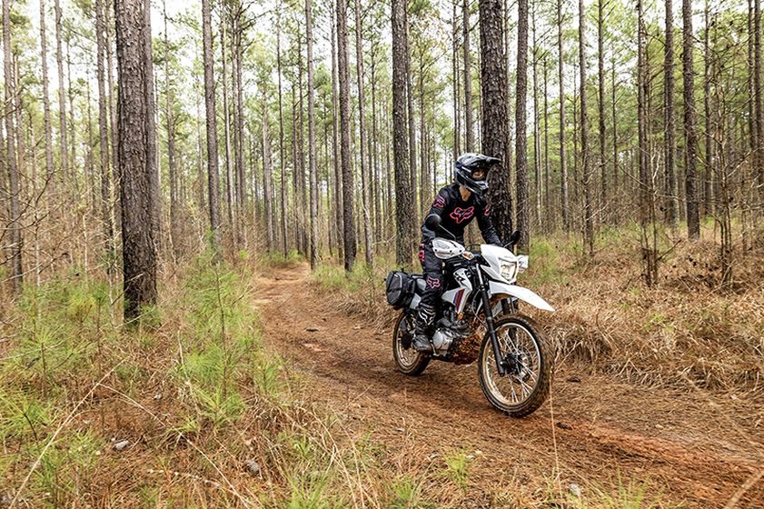 Photo 5: 2025 Honda XR™ 150L