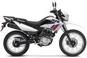 Thumbnail Photo 1: 2025 Honda XR™ 150L