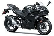 Thumbnail Photo 1: 2026 Kawasaki Ninja® 500 Base