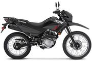 Thumbnail Photo 7: 2025 Honda XR™ 150L