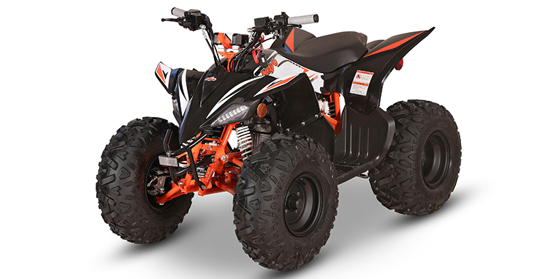 2027 Kayo Storm 110 for Sale in PURCELLVILLE, VA